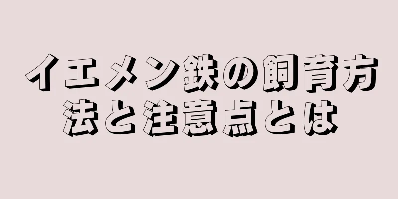 イエメン鉄の飼育方法と注意点とは