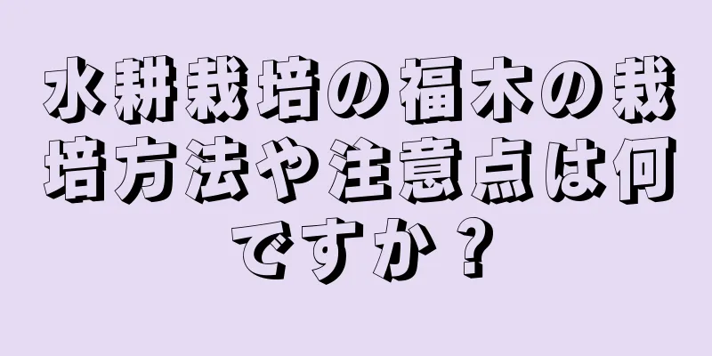 水耕栽培の福木の栽培方法や注意点は何ですか？