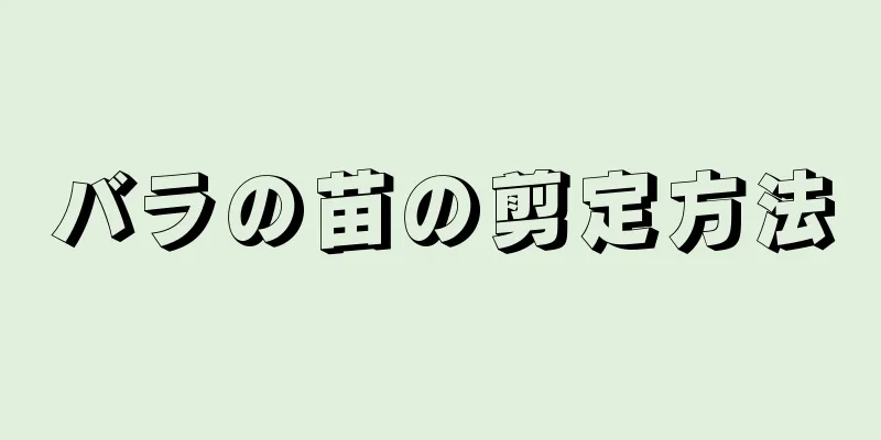バラの苗の剪定方法