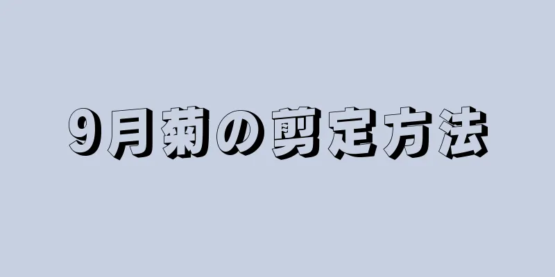 9月菊の剪定方法