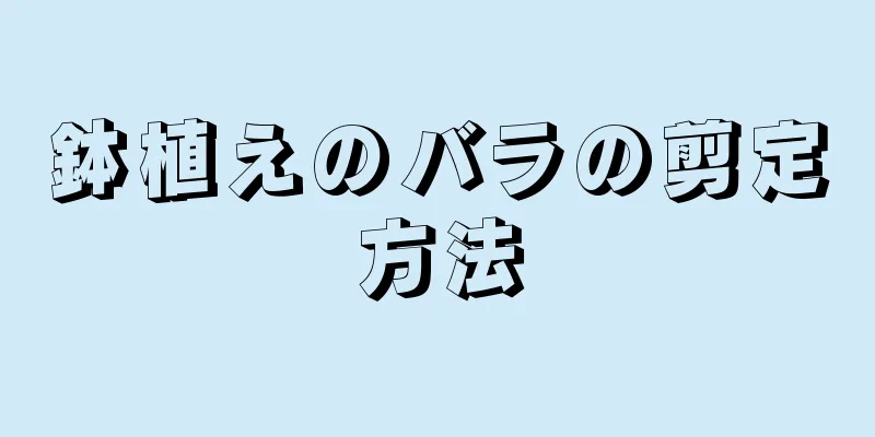 鉢植えのバラの剪定方法