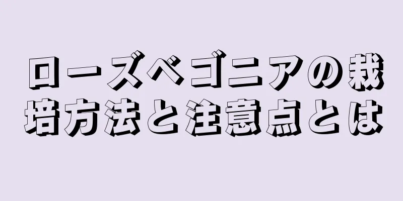 ローズベゴニアの栽培方法と注意点とは