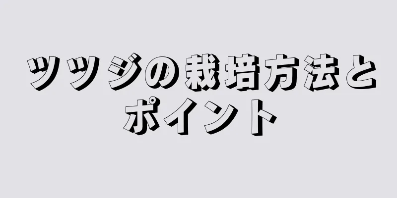 ツツジの栽培方法とポイント
