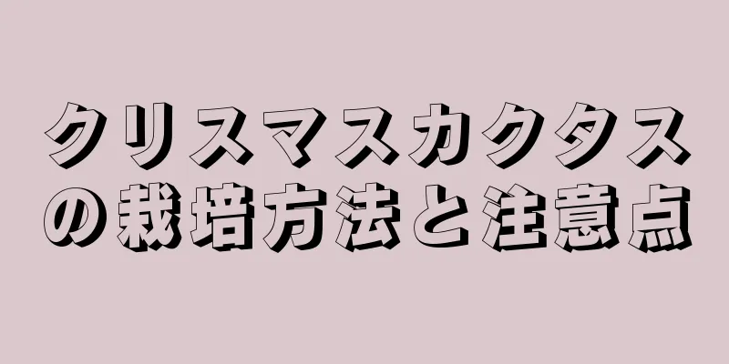クリスマスカクタスの栽培方法と注意点