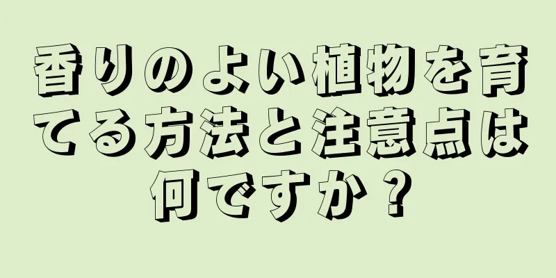 香りのよい植物を育てる方法と注意点は何ですか？
