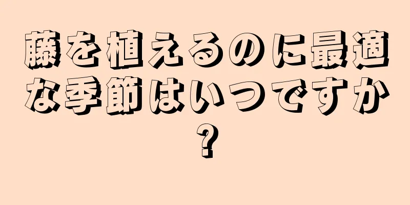 藤を植えるのに最適な季節はいつですか?