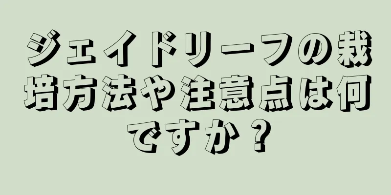 ジェイドリーフの栽培方法や注意点は何ですか？