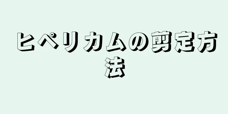 ヒペリカムの剪定方法