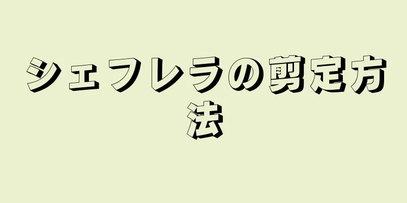 シェフレラの剪定方法