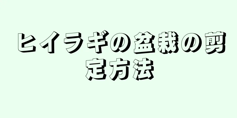ヒイラギの盆栽の剪定方法