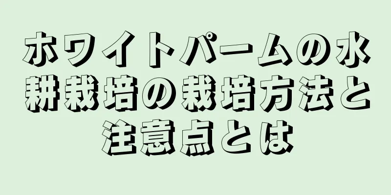 ホワイトパームの水耕栽培の栽培方法と注意点とは