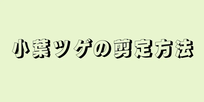 小葉ツゲの剪定方法