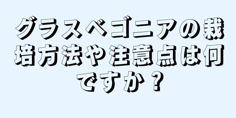 グラスベゴニアの栽培方法や注意点は何ですか？