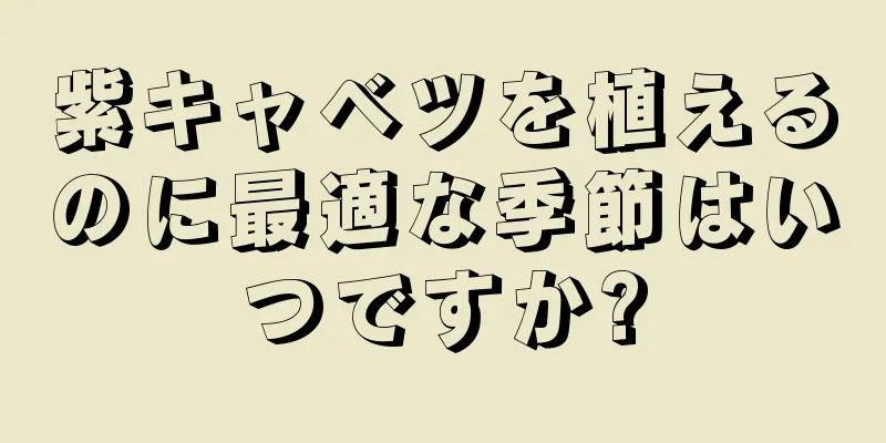 紫キャベツを植えるのに最適な季節はいつですか?