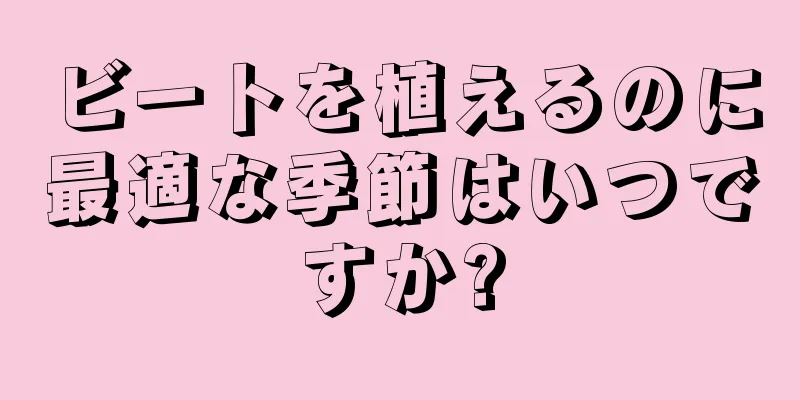 ビートを植えるのに最適な季節はいつですか?