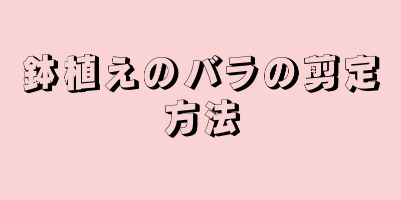 鉢植えのバラの剪定方法