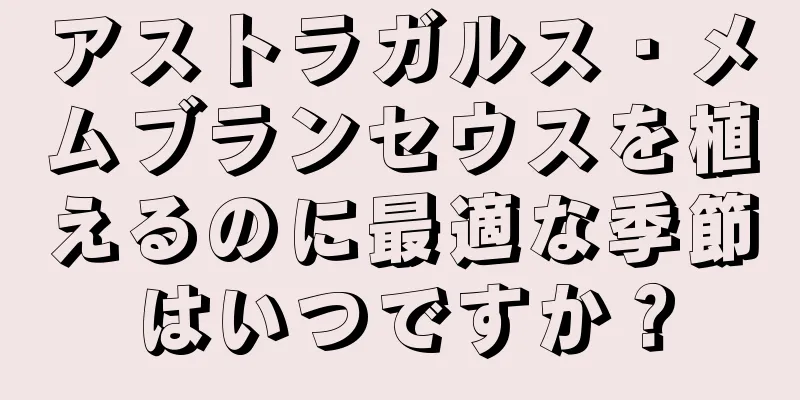 アストラガルス・メムブランセウスを植えるのに最適な季節はいつですか？
