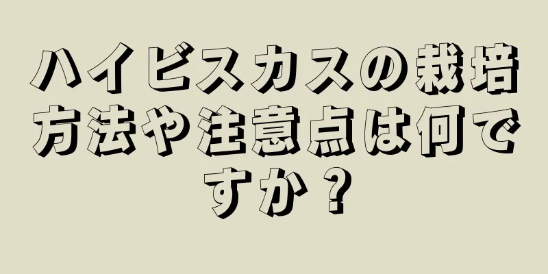 ハイビスカスの栽培方法や注意点は何ですか？