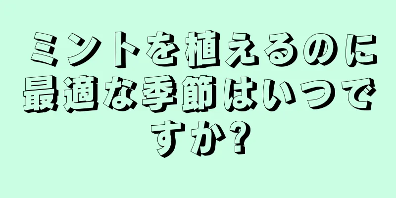 ミントを植えるのに最適な季節はいつですか?