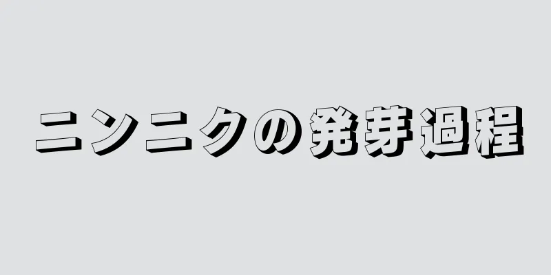 ニンニクの発芽過程