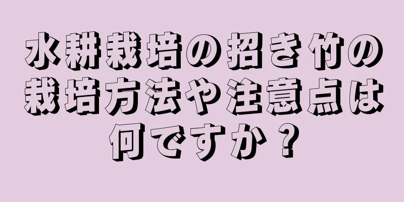 水耕栽培の招き竹の栽培方法や注意点は何ですか？