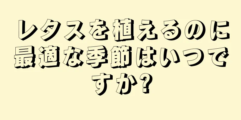 レタスを植えるのに最適な季節はいつですか?