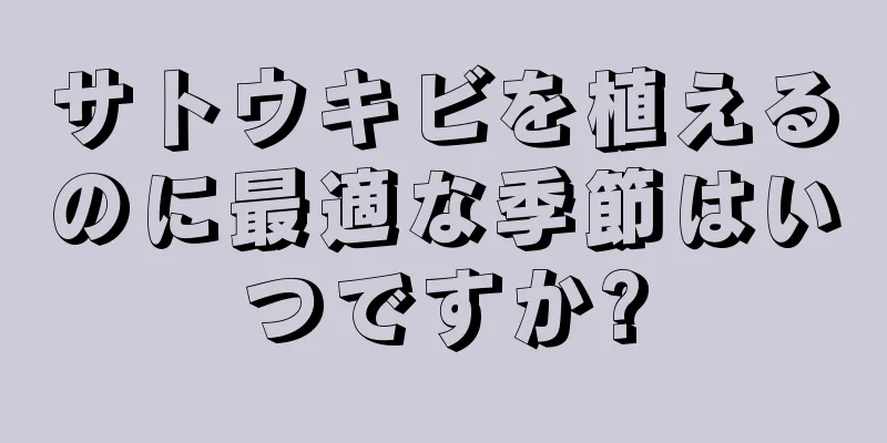 サトウキビを植えるのに最適な季節はいつですか?