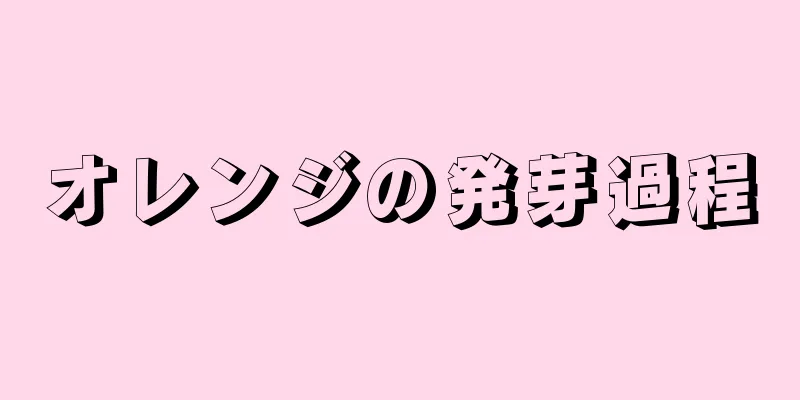オレンジの発芽過程