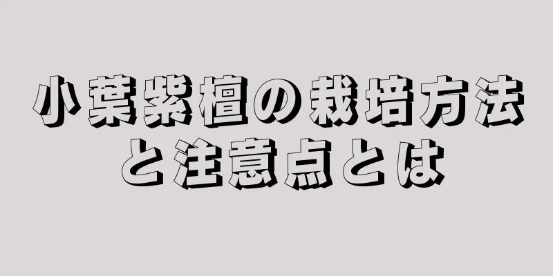 小葉紫檀の栽培方法と注意点とは