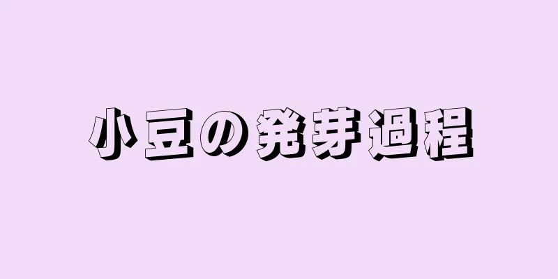 小豆の発芽過程