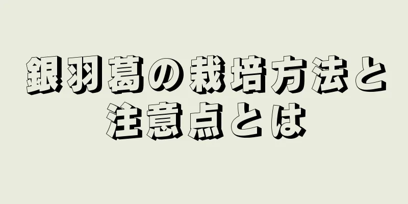 銀羽葛の栽培方法と注意点とは
