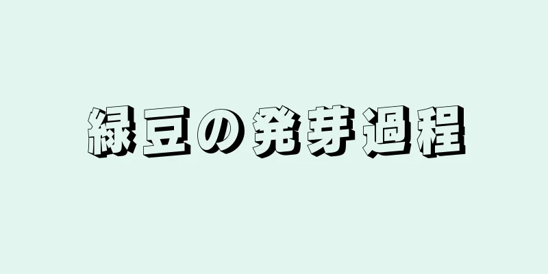 緑豆の発芽過程