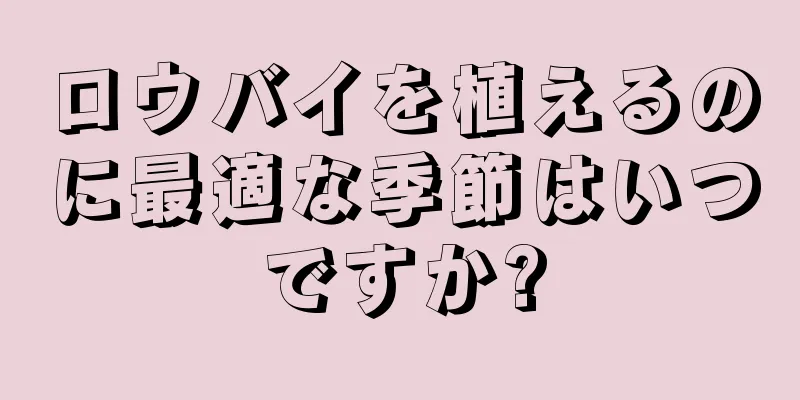 ロウバイを植えるのに最適な季節はいつですか?