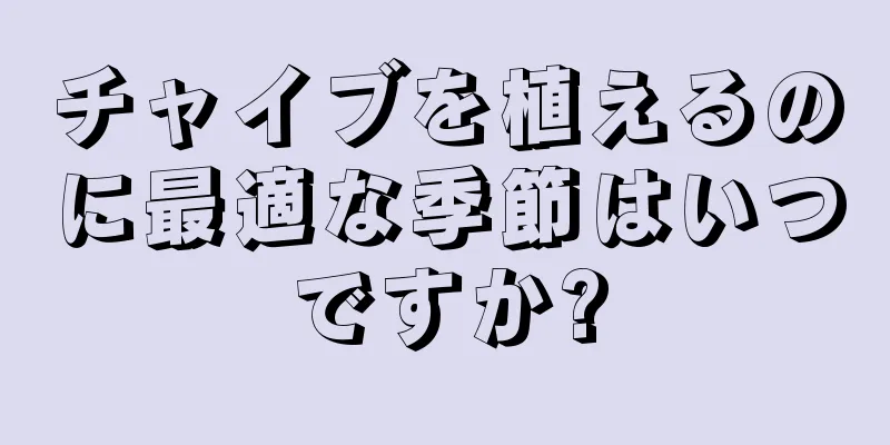 チャイブを植えるのに最適な季節はいつですか?