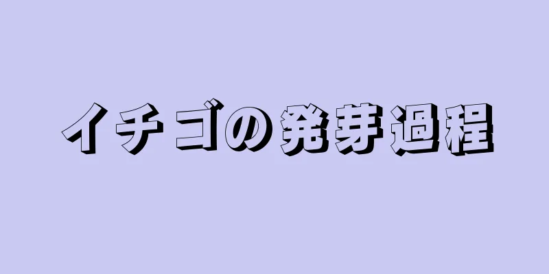 イチゴの発芽過程