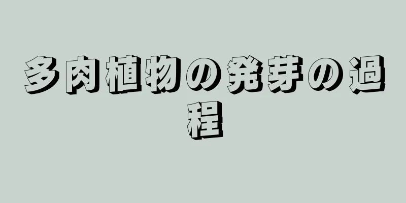 多肉植物の発芽の過程