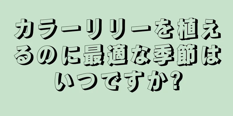 カラーリリーを植えるのに最適な季節はいつですか?