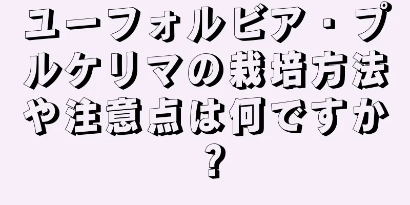 ユーフォルビア・プルケリマの栽培方法や注意点は何ですか？