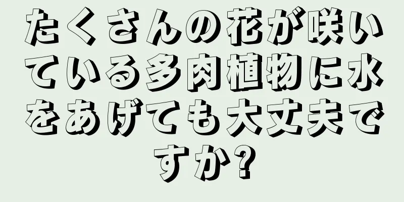 たくさんの花が咲いている多肉植物に水をあげても大丈夫ですか?