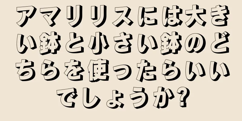 アマリリスには大きい鉢と小さい鉢のどちらを使ったらいいでしょうか?
