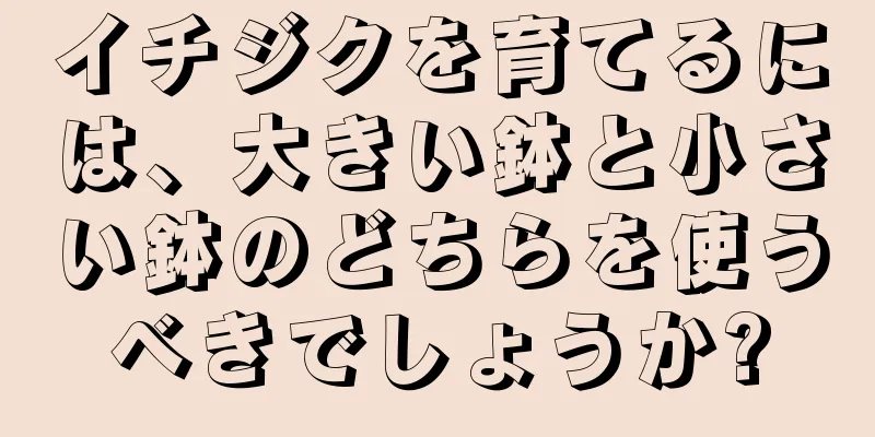 イチジクを育てるには、大きい鉢と小さい鉢のどちらを使うべきでしょうか?