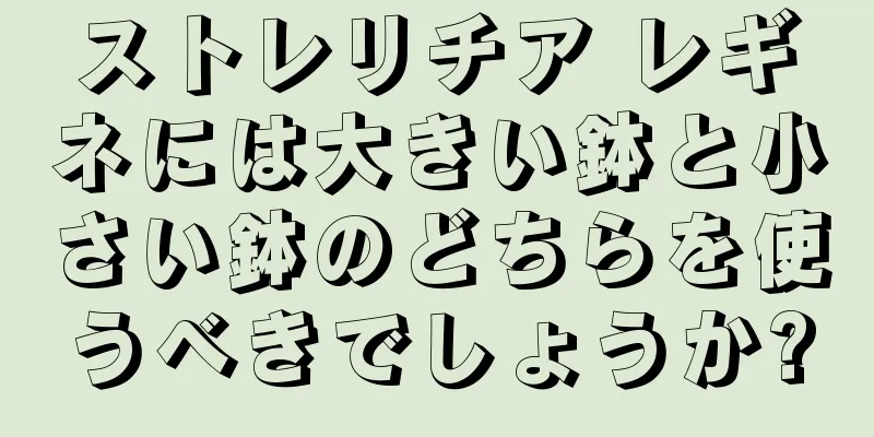 ストレリチア レギネには大きい鉢と小さい鉢のどちらを使うべきでしょうか?
