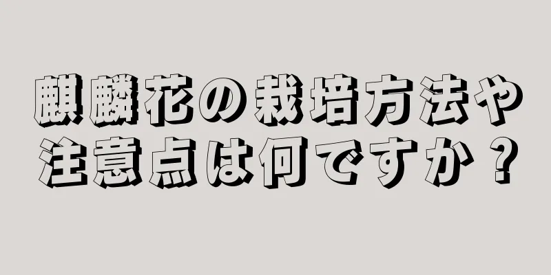 麒麟花の栽培方法や注意点は何ですか？