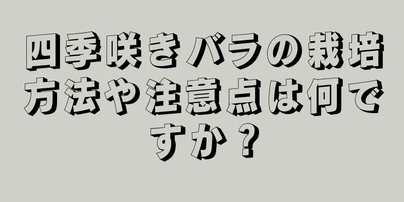 四季咲きバラの栽培方法や注意点は何ですか？