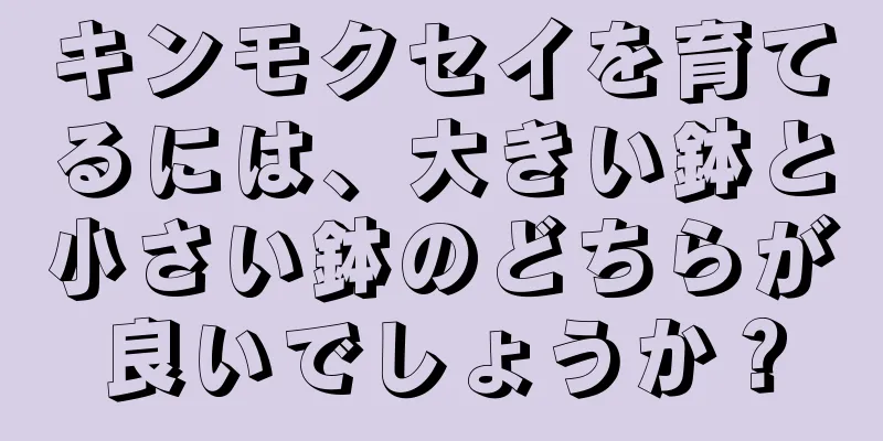 キンモクセイを育てるには、大きい鉢と小さい鉢のどちらが良いでしょうか？