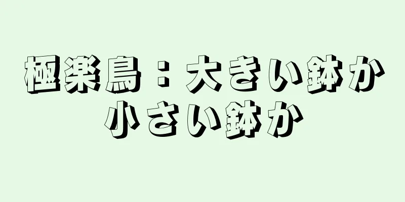 極楽鳥：大きい鉢か小さい鉢か