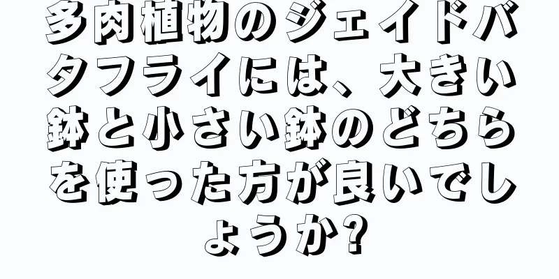 多肉植物のジェイドバタフライには、大きい鉢と小さい鉢のどちらを使った方が良いでしょうか?