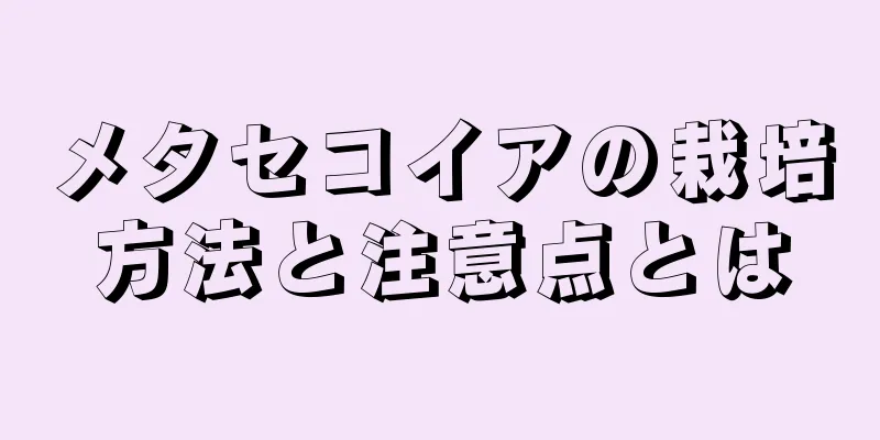 メタセコイアの栽培方法と注意点とは
