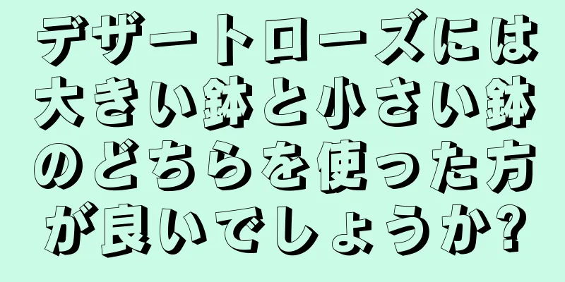 デザートローズには大きい鉢と小さい鉢のどちらを使った方が良いでしょうか?