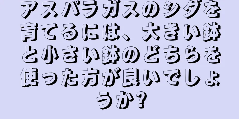 アスパラガスのシダを育てるには、大きい鉢と小さい鉢のどちらを使った方が良いでしょうか?